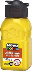 N.COLOR AKRİLİK BOYA SİSE 100 GR SARİ