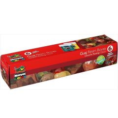 Nova color Guaj Boya 6 Renk X 30 Cc. Şişe